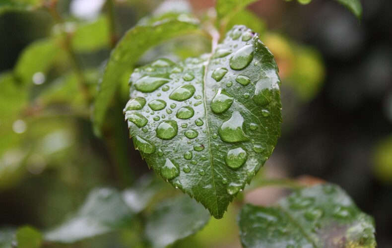 Moins de pluie, plus de gestes responsables