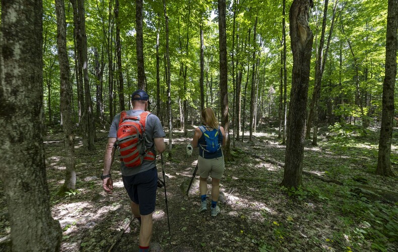 Des gestes simples pour des balades en nature respectueuses