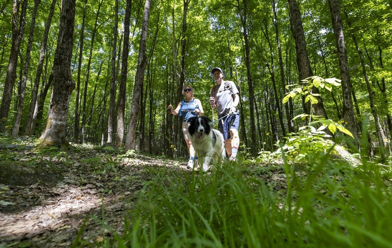 Participation citoyenne pour le Plan de conservation des milieux naturels