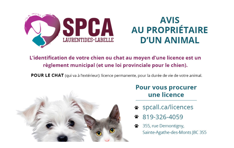 Rappel concernant les animaux domestiques