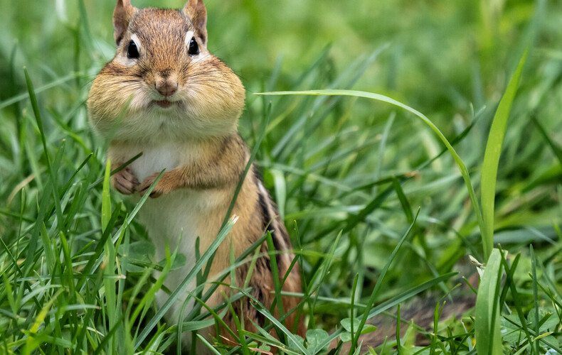 Gagnant du concours photo pour le calendrier municipal 2026